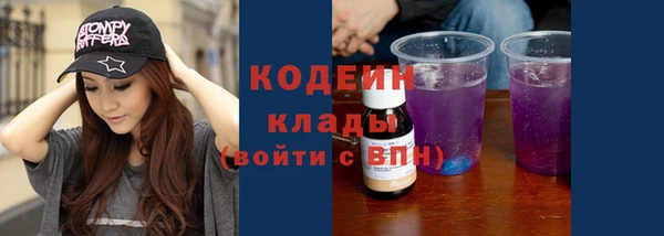 индика Балахна