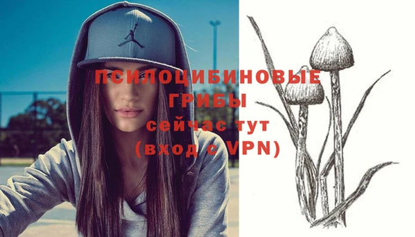 a pvp Белокуриха