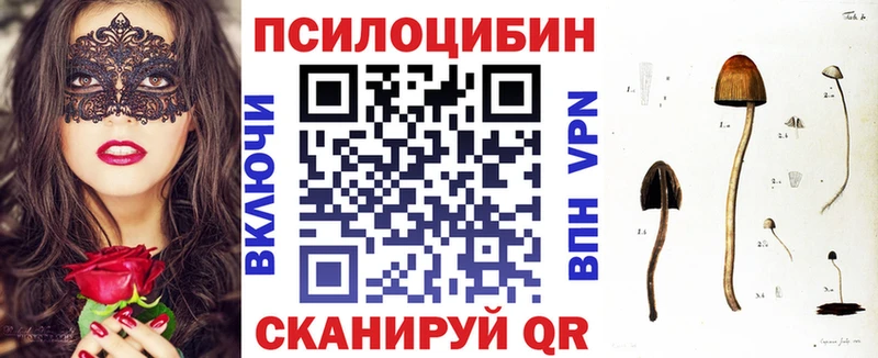 дарк нет клад  Белоусово  Галлюциногенные грибы Psilocybine cubensis  где найти наркотики 